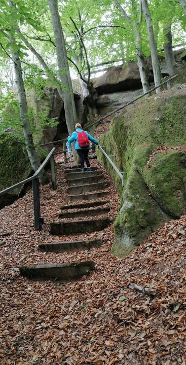 Pfälzer Wald Verein Dahn